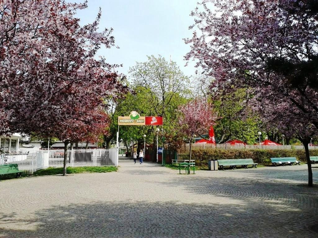 Modern Apartment Riegrovy sady Prag Eksteriør billede